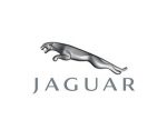 JAGUAR JAGUAR